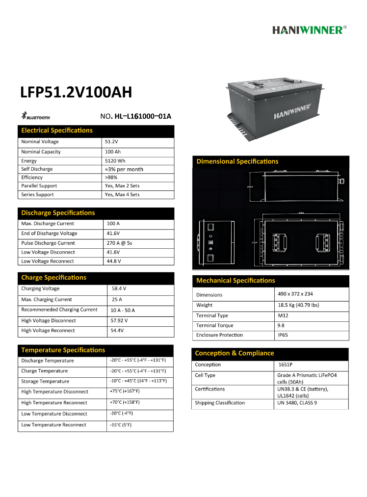 HANIWINNER HL-L161000-01A 51.2V 100Ah Lithium Iron Phosphate LiFePO4 Power Plant Golf Cart Use LiFePo4 Battery