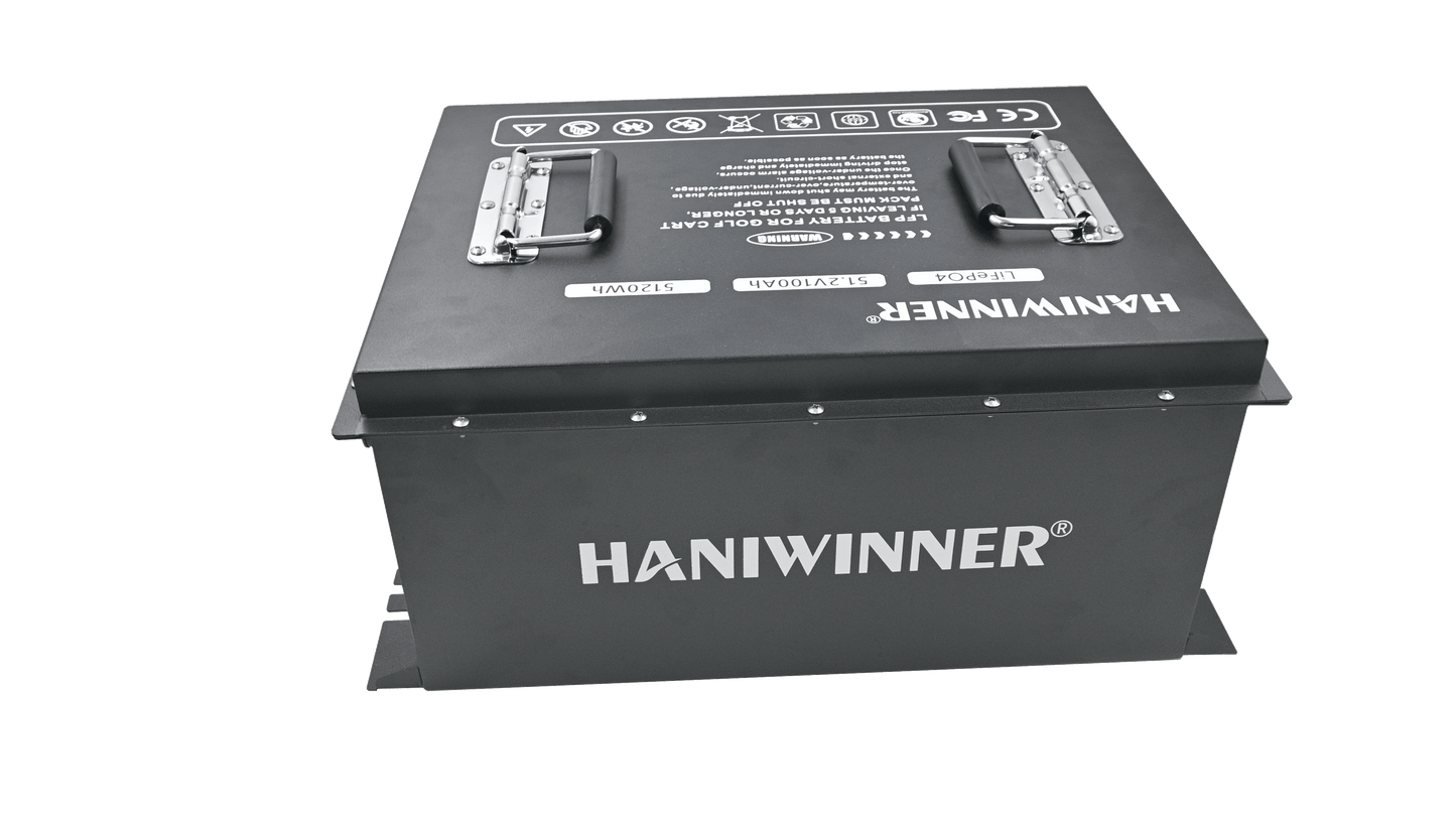 HANIWINNER HL-L161000-01A 51.2V 100Ah Lithium Iron Phosphate LiFePO4 Power Plant Golf Cart Use LiFePo4 Battery