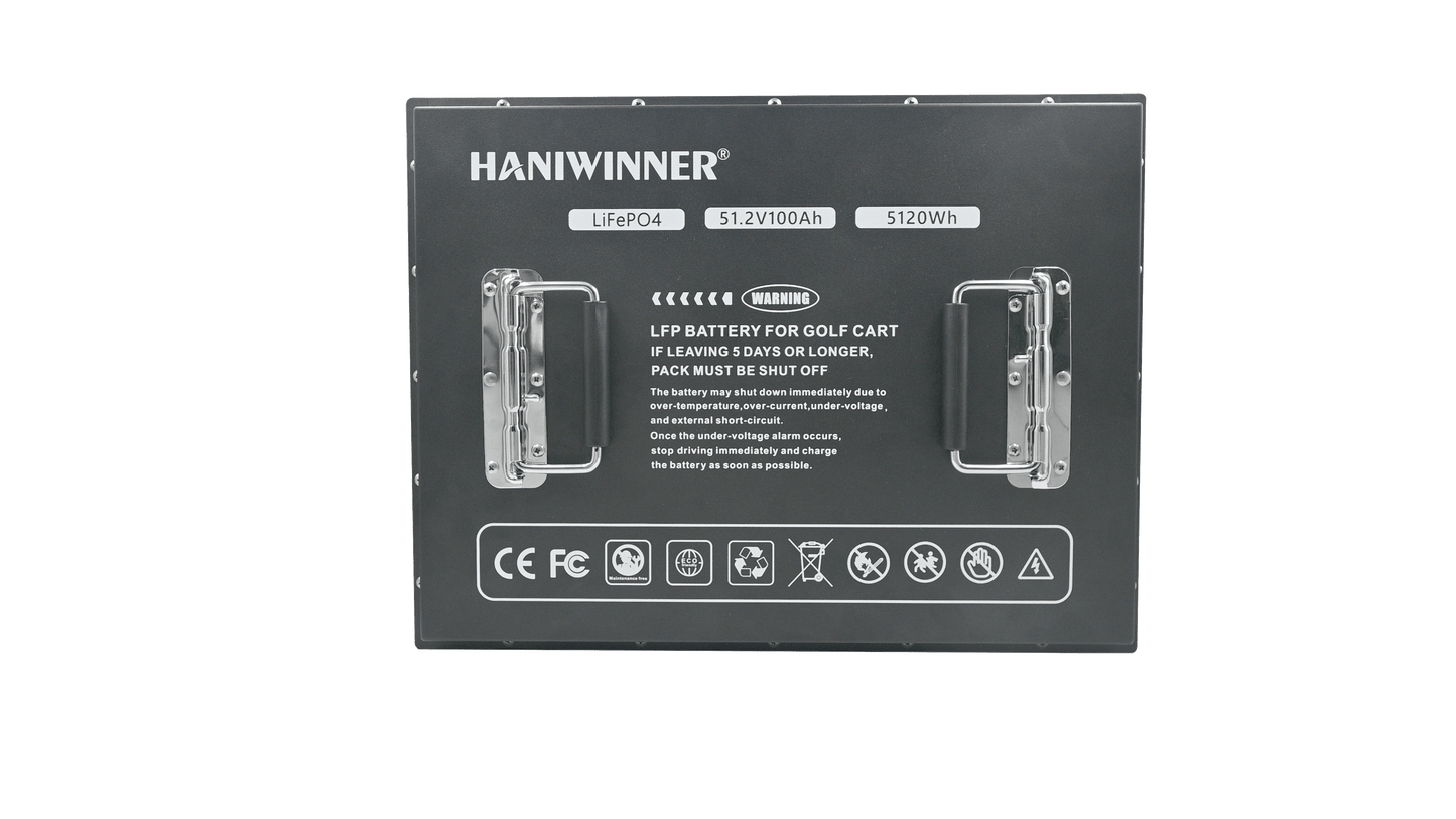 HANIWINNER HL-L161000-01A 51.2V 100Ah Lithium Iron Phosphate LiFePO4 Power Plant Golf Cart Use LiFePo4 Battery