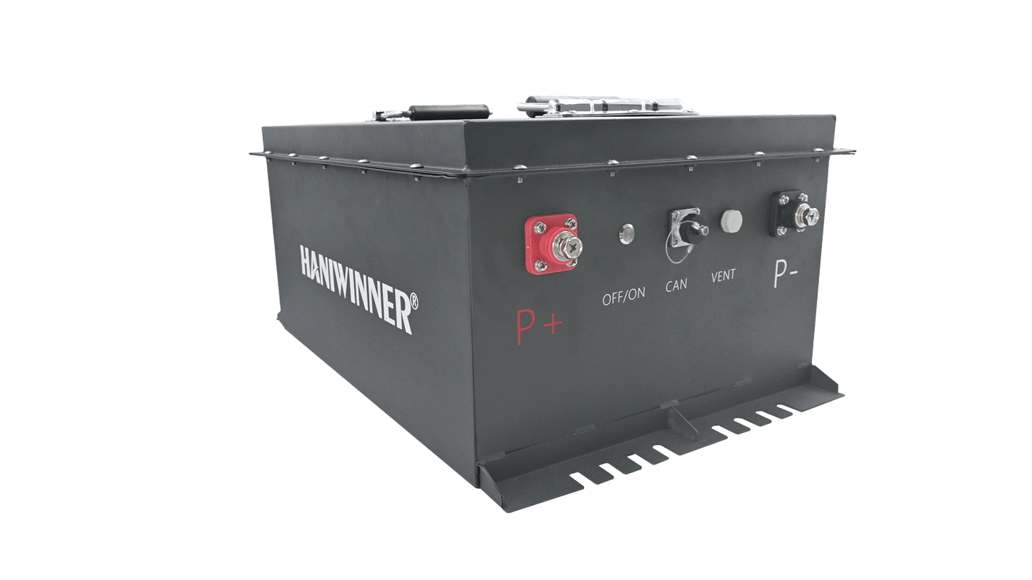 HANIWINNER HL-L161000-01A 51.2V 100Ah Lithium Iron Phosphate LiFePO4 Power Plant Golf Cart Use LiFePo4 Battery